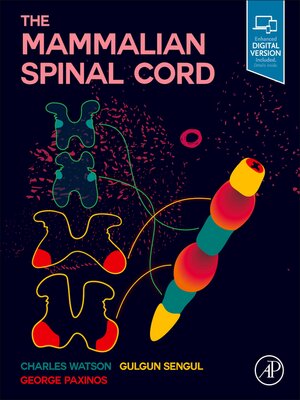 cover image of The Mammalian Spinal Cord